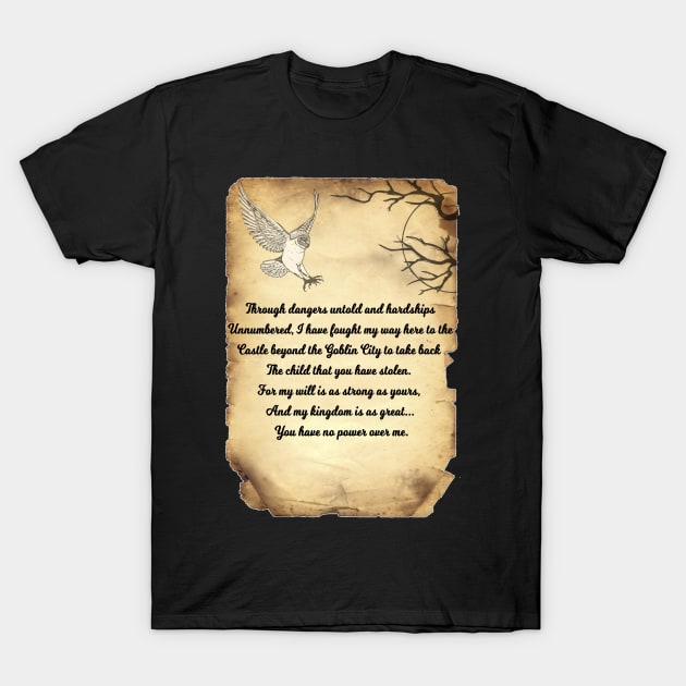 Labyrinth Poem T-Shirt by Specialstace83